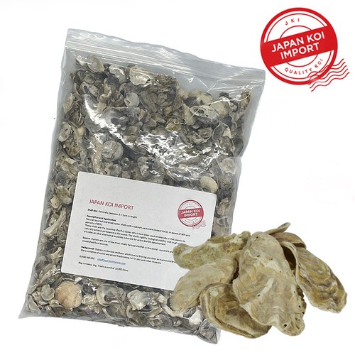 Oyster shells pacific 2kg - shells,