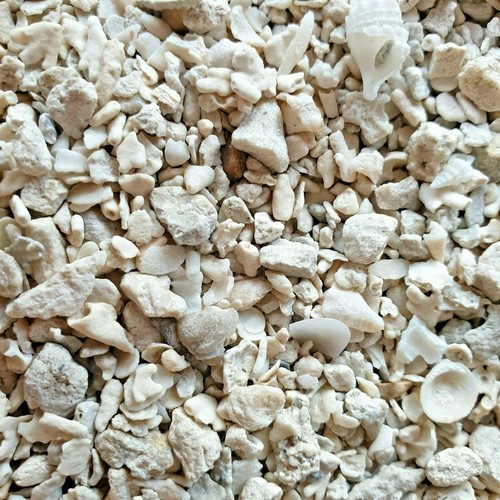 Crushed coral with - coral, free