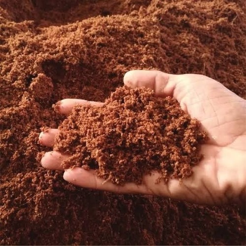 Coco professional plus - coco,